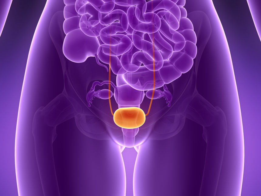 Pelvic Pro Therapy, Greater Orlando Area